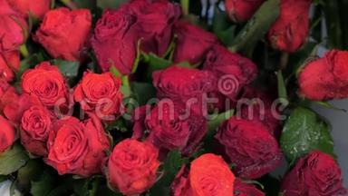 天鹅绒鲜<strong>红玫瑰</strong>带水滴在<strong>花店</strong>出售，特写。
